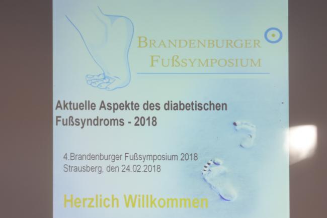 Bild Brandenburgisches Fußsymposium